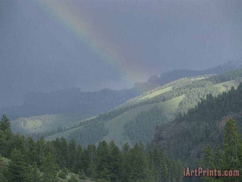 Raymond Gehman A Rainbow Bridges Lamar Valley Near Specimen Ridge After a Rain Storm Art Painting