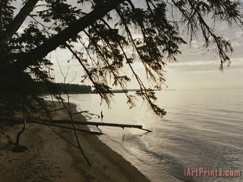 Raymond Gehman A View of The Shoreline in The Apostle Islands Art Print