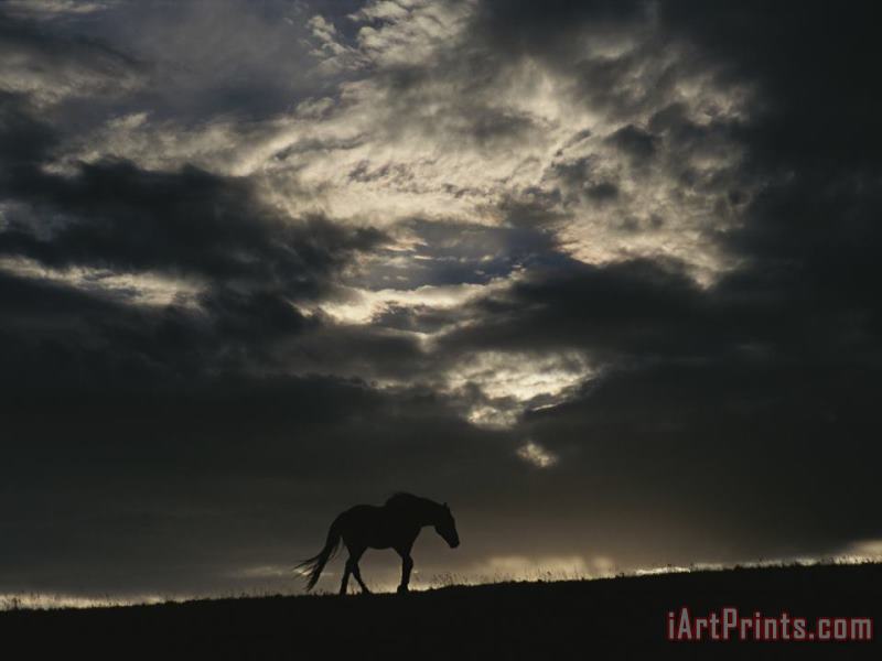 A Wild Horse Is Silhouetted Under Ominous Storm Clouds painting - Raymond Gehman A Wild Horse Is Silhouetted Under Ominous Storm Clouds Art Print