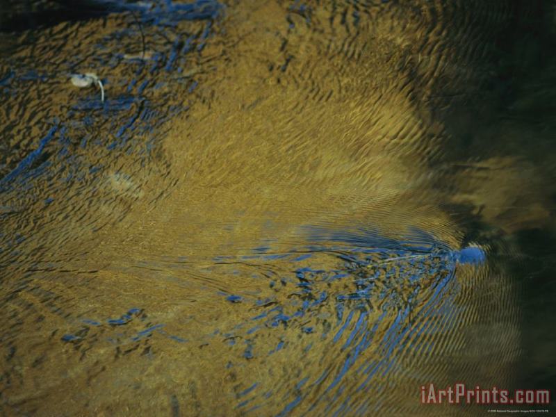 Autumn Foliage Is Reflected in The Rippling Water of Cli Creek painting - Raymond Gehman Autumn Foliage Is Reflected in The Rippling Water of Cli Creek Art Print