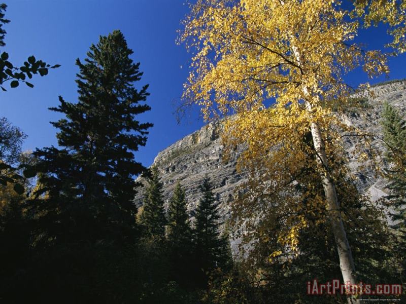 Raymond Gehman Autumn Foliage Surrounds The Limestone Face of The Nahanni Mountain Range Art Painting