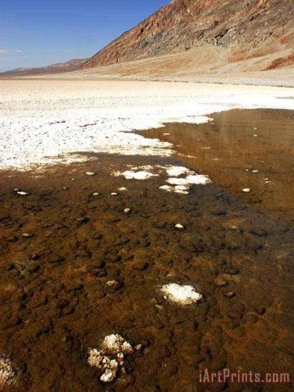 Badwater Basin in Death Valley National Park California painting - Raymond Gehman Badwater Basin in Death Valley National Park California Art Print