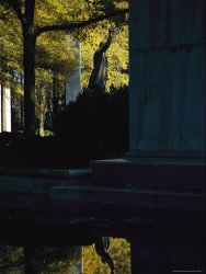 Raymond Gehman Bronze Statue of Theodore Roosevelt with Granite Slab And Oaks