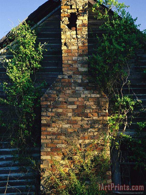 Chimney of an Old Log Cabin Homestead painting - Raymond Gehman Chimney of an Old Log Cabin Homestead Art Print