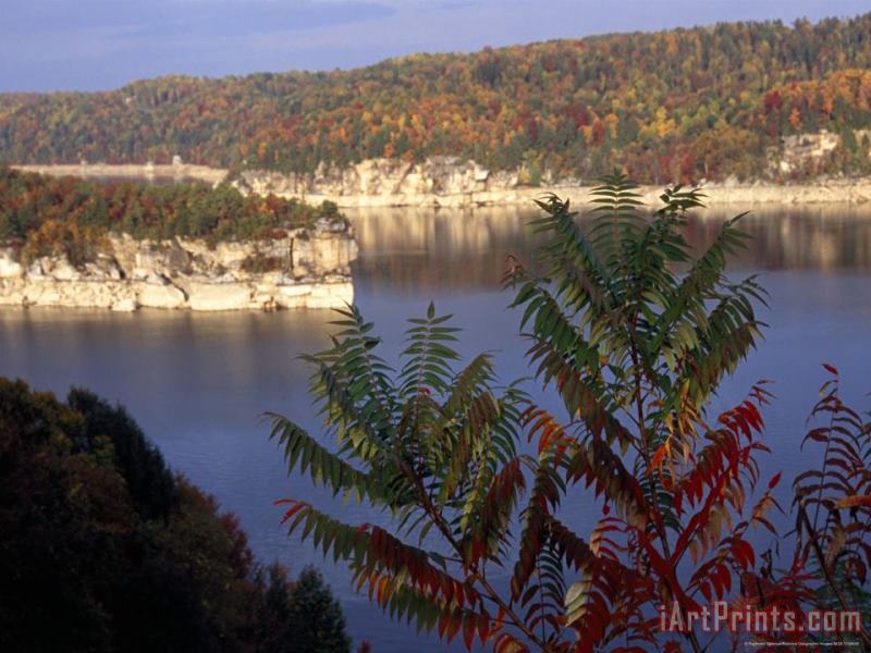 Raymond Gehman Cliffs And Autumn Hues Along The Gauley River Art Painting