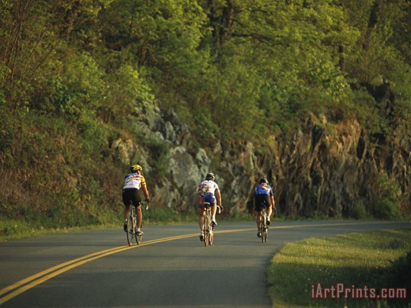 Cycling on The Blue Ridge Parkway painting - Raymond Gehman Cycling on The Blue Ridge Parkway Art Print