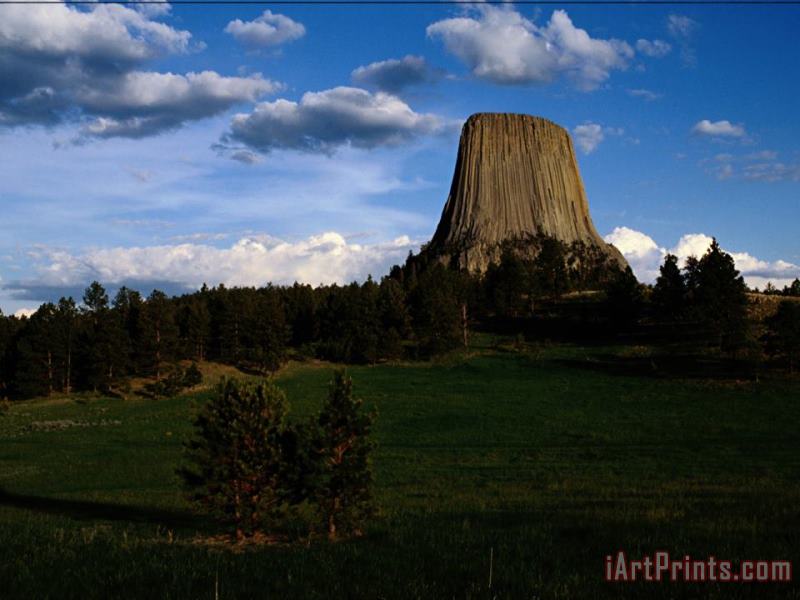 Distant View of Devils Tower painting - Raymond Gehman Distant View of Devils Tower Art Print