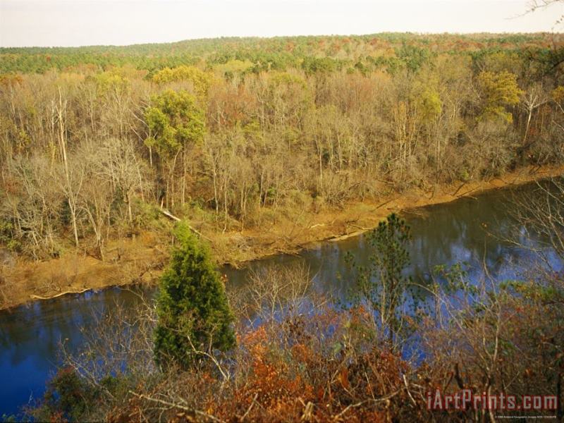 Raymond Gehman Elevated View of Cape Fear River Flowing Through Raven Rock State Park Art Print
