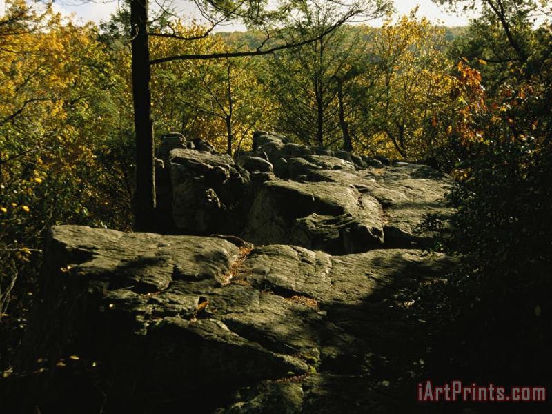 Raymond Gehman Fall Foliage And Boulders on The Appalachian Trail Art Painting