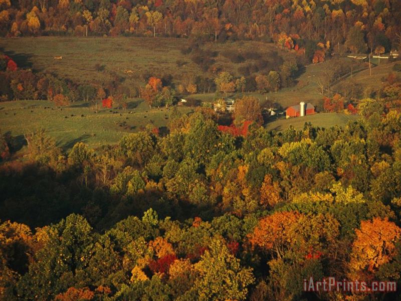 Farmlands And George Washington National Forest Seen From Skyline Drive painting - Raymond Gehman Farmlands And George Washington National Forest Seen From Skyline Drive Art Print