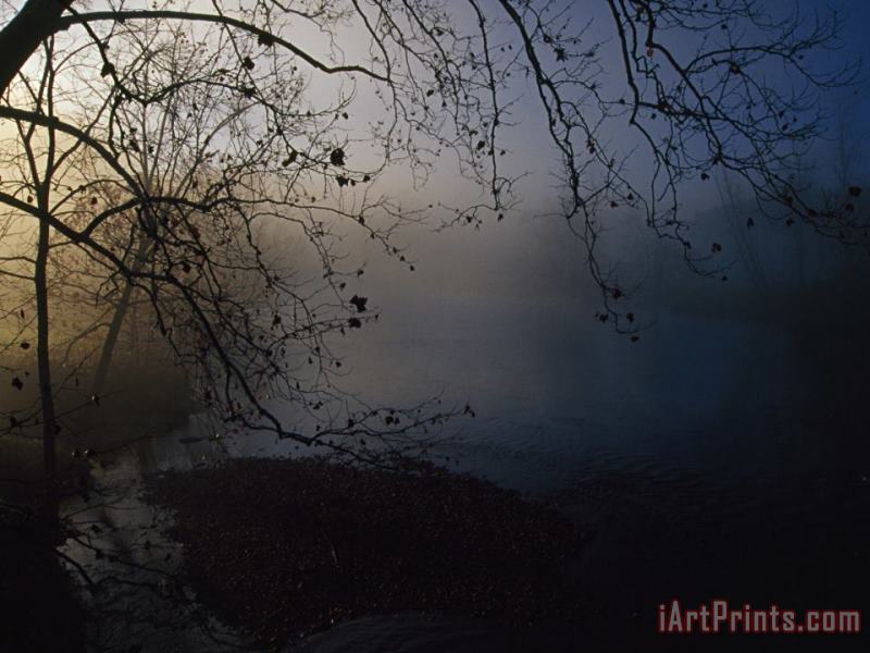 Raymond Gehman Fog And Silhouetted Trees at Sunrise on The Little Tennessee River Art Print