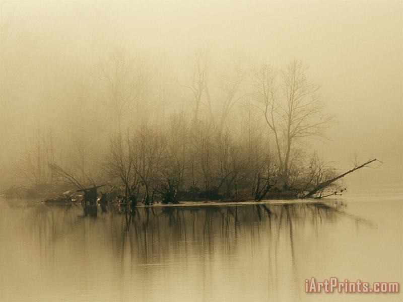 Fog Hovers Above The James River at Dawn painting - Raymond Gehman Fog Hovers Above The James River at Dawn Art Print
