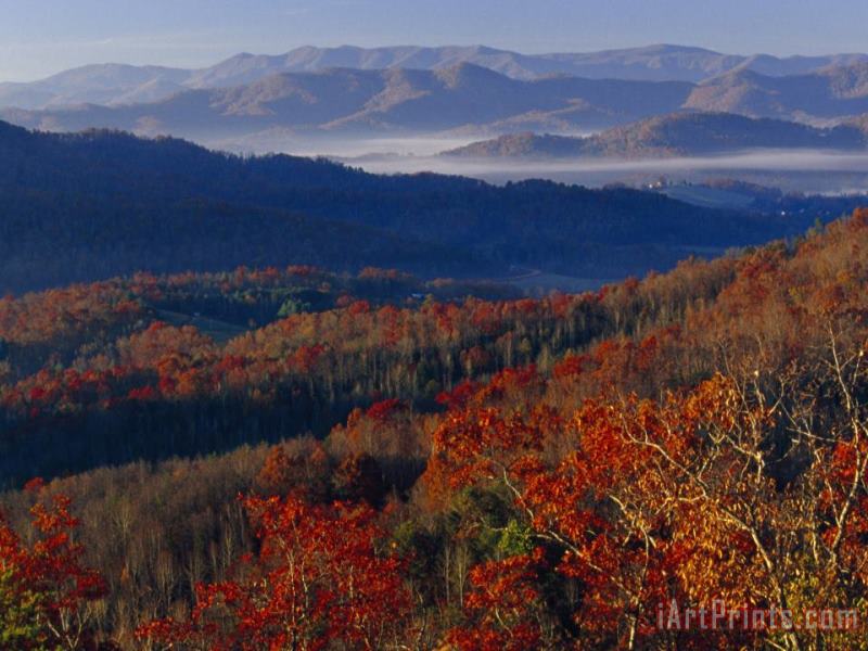 Raymond Gehman Fog Lying in Mountain Valleys in The Early Morning in Autumn Art Painting