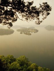 Raymond Gehman Foggy Sunrise Over Dale Hollow Lake