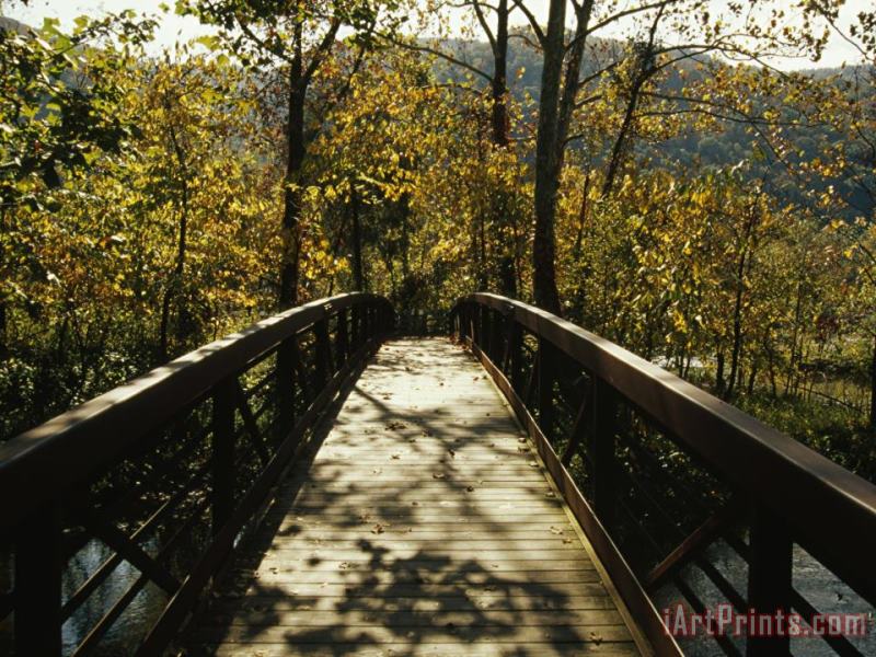 Raymond Gehman Footbridge Over Waterway in Autumn Hued Woods in a Mountain Valley Art Painting