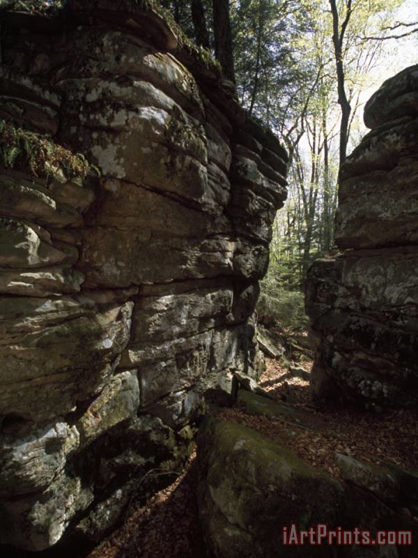 Raymond Gehman Gap Between Large Boulders Creates a Narrow Woodland Path Art Painting