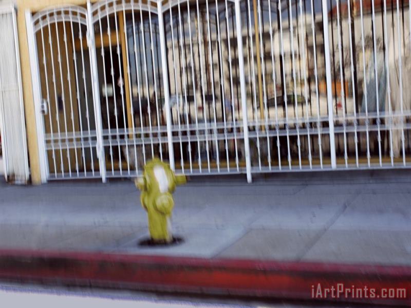 Raymond Gehman Gate Across a Storefront And Fire Hydrant on The Sidewalk Art Print
