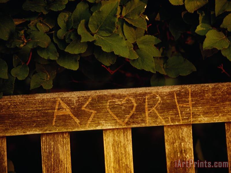 Graffiti Carved Into a Bench at The Quiet Garden painting - Raymond Gehman Graffiti Carved Into a Bench at The Quiet Garden Art Print