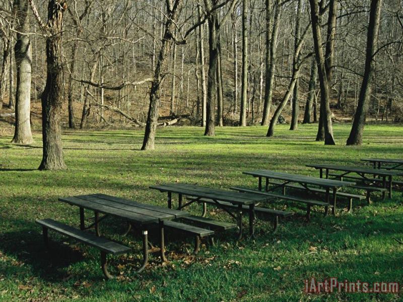 Raymond Gehman Green Picnic Tables And Benches in a Clearing Near Hardwood Trees Art Painting