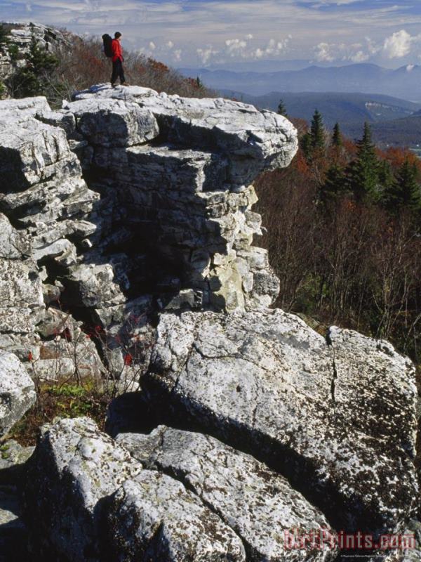 Hiker on a Cliff in The Bear Rocks Preserve painting - Raymond Gehman Hiker on a Cliff in The Bear Rocks Preserve Art Print