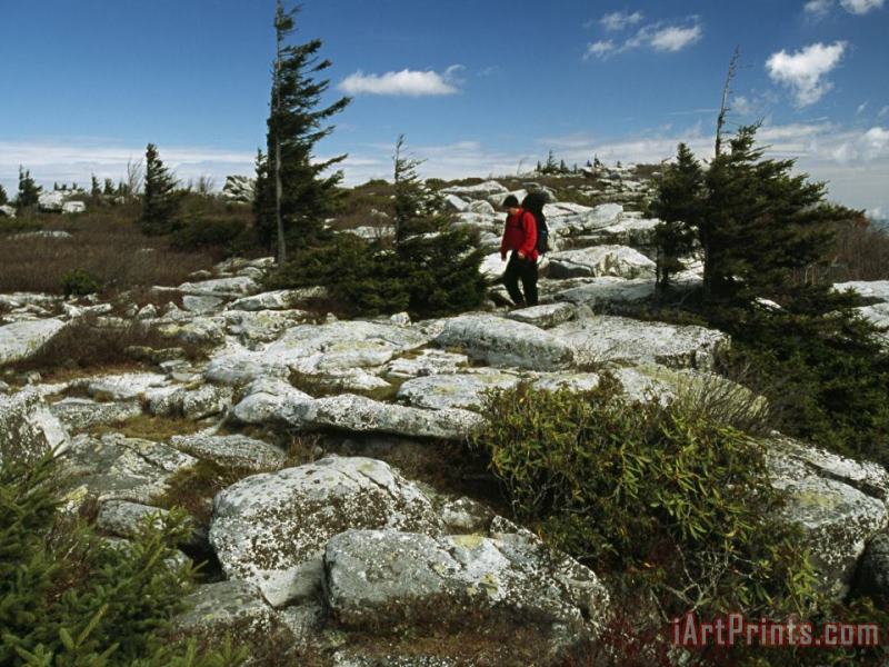 Raymond Gehman Hiker Traversing a Rocky Landscape Dotted with Evergreens Art Print