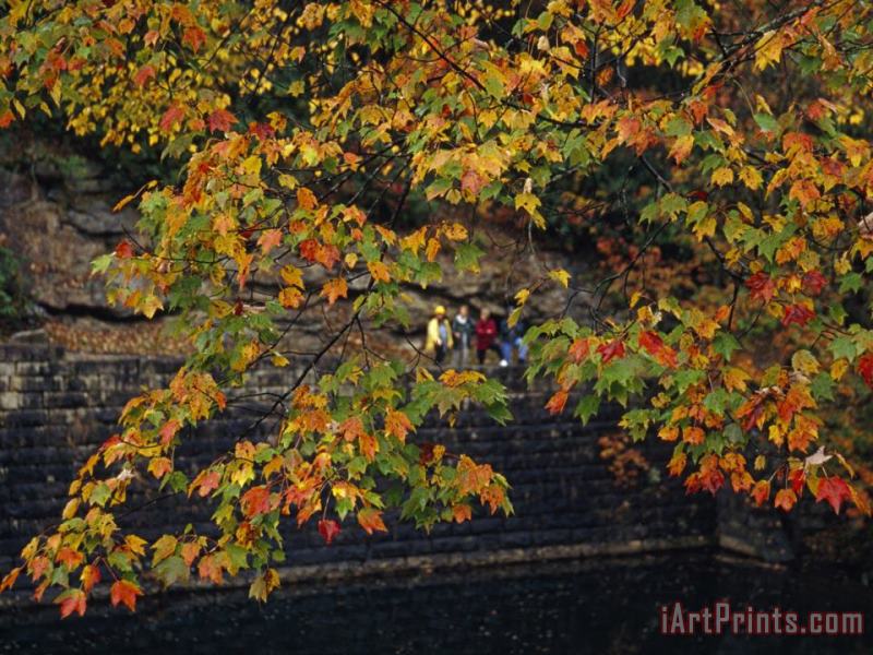 Hikers Seen Through The Branches of a Maple Tree in Autumn Hues painting - Raymond Gehman Hikers Seen Through The Branches of a Maple Tree in Autumn Hues Art Print