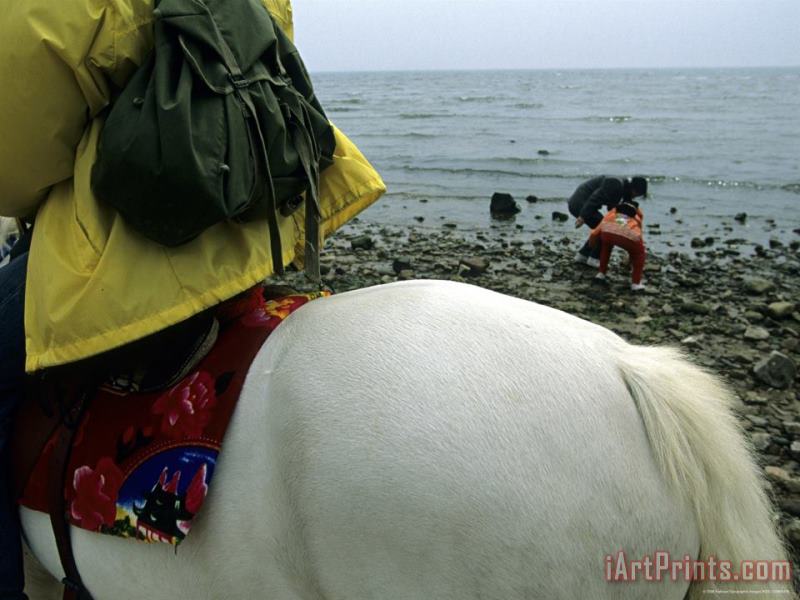 Raymond Gehman Horseback Riding Near Bohai Sea Qinhuangdao Hebei Province China Art Painting