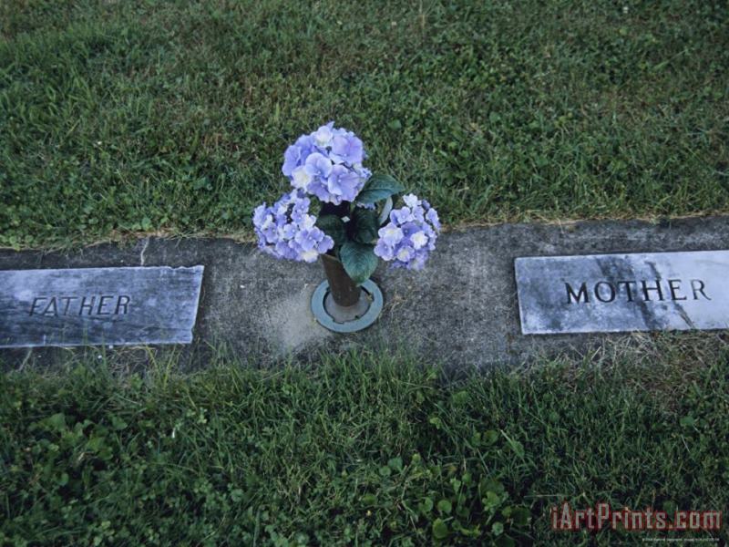 Raymond Gehman Hydrangea Flowers Are Placed in a Graveside Vase Art Painting