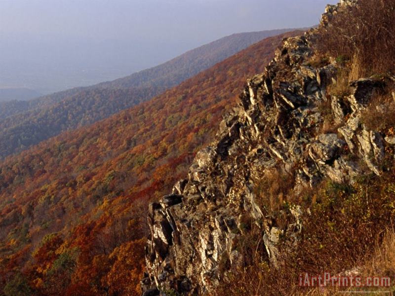 Raymond Gehman Jagged Rock Outcrop on a Mountainside Art Painting