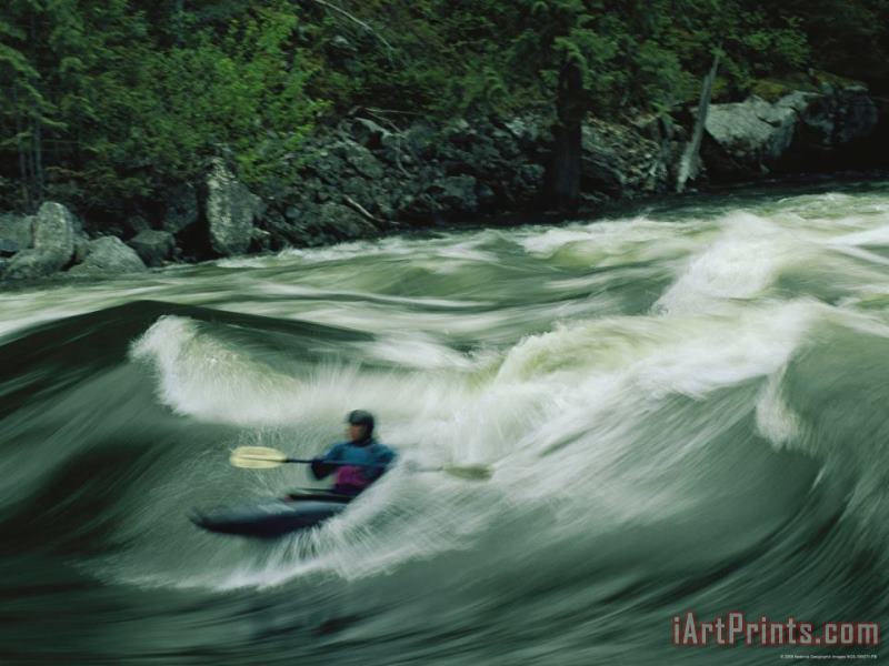 Raymond Gehman Kayaking on The Lochsa River in The Clearwater National Forest Idaho Art Print