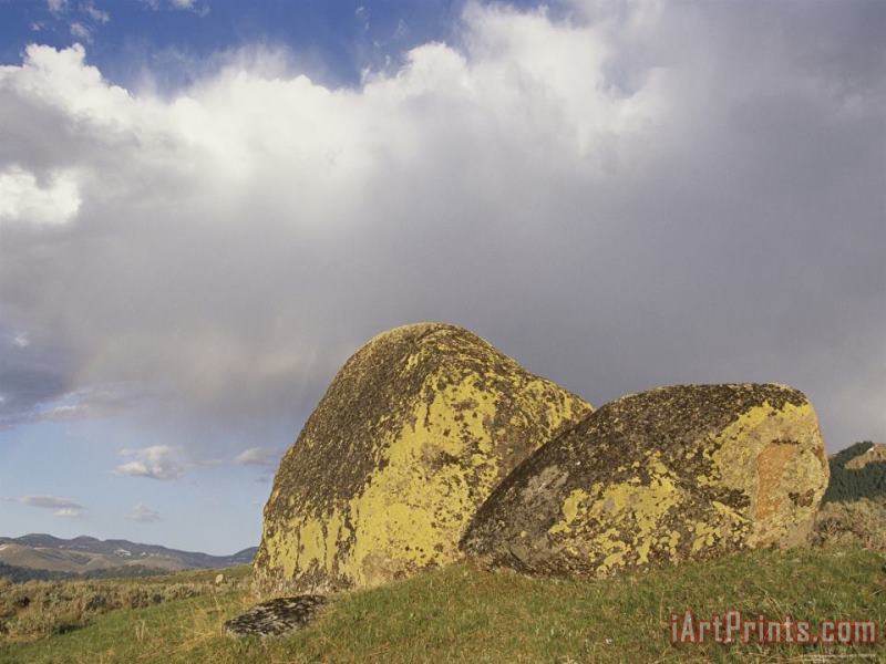 Lichen Covered Glacial Erratic Boulders Under a Cloudy Sky painting - Raymond Gehman Lichen Covered Glacial Erratic Boulders Under a Cloudy Sky Art Print