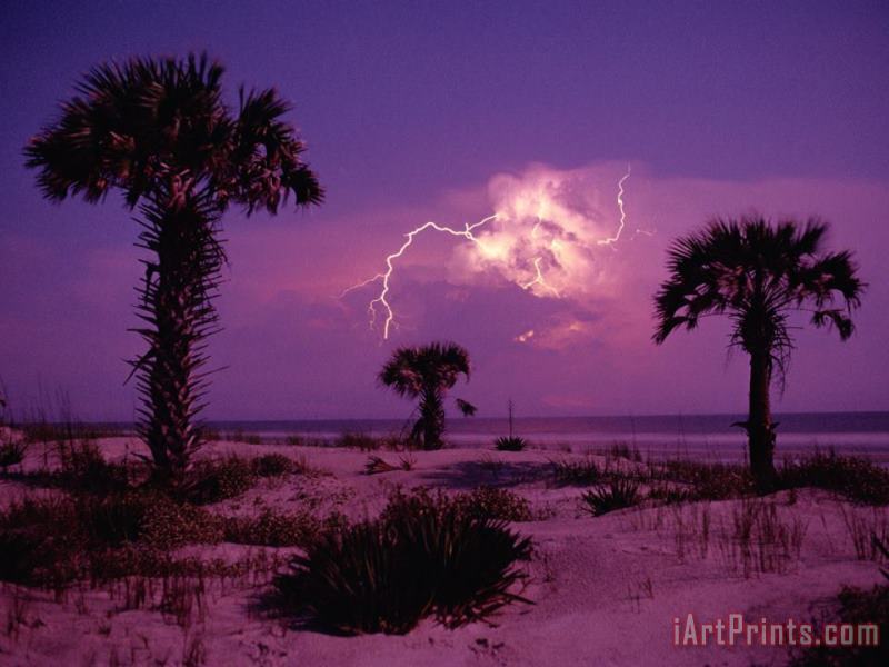 Raymond Gehman Lightning Illuminates The Purple Sky Over Cumberland Island National Seashore Art Painting