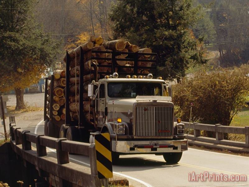 Logs Are Hauled Out of Jefferson National Forest painting - Raymond Gehman Logs Are Hauled Out of Jefferson National Forest Art Print