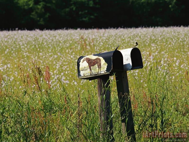 Mailboxes And a Field of Wildflowers painting - Raymond Gehman Mailboxes And a Field of Wildflowers Art Print