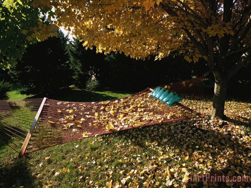 Maple Tree And Hammock in The Fall painting - Raymond Gehman Maple Tree And Hammock in The Fall Art Print