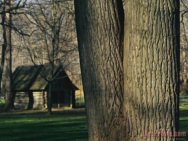 Raymond Gehman Miller Cabin Among Large Trees Established in 1890 Rock Creek Park Art Painting
