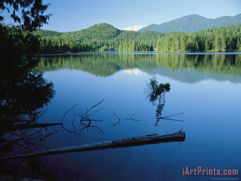 Raymond Gehman Mountains And Evergreens Reflect in Clear Calm Waters Art Print