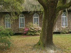 Raymond Gehman Old Church with Blooming Azaleas Oak Tree And Spanish Moss
