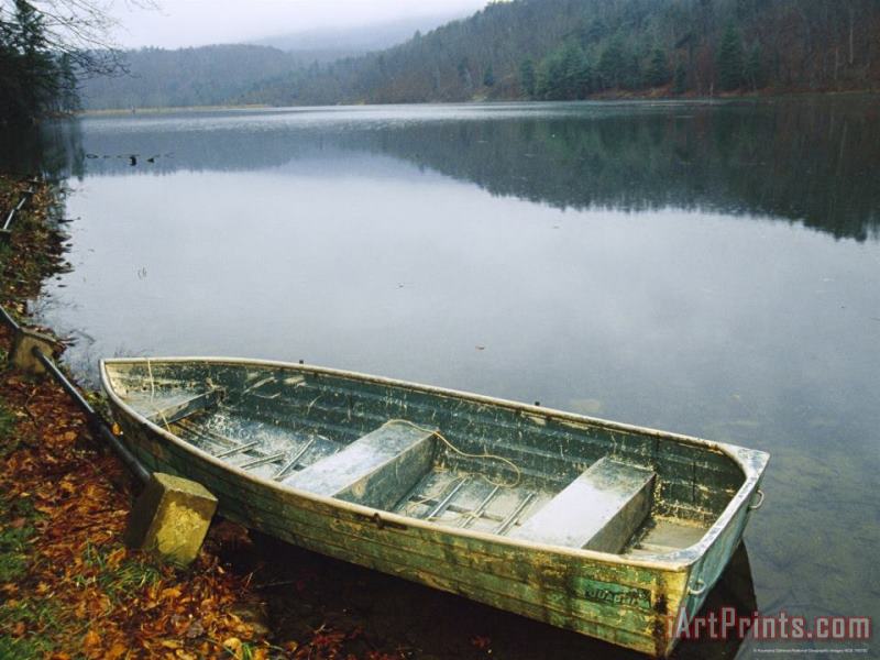 Old Rowboat on The Shore of Douthat Lake in Rain painting - Raymond Gehman Old Rowboat on The Shore of Douthat Lake in Rain Art Print