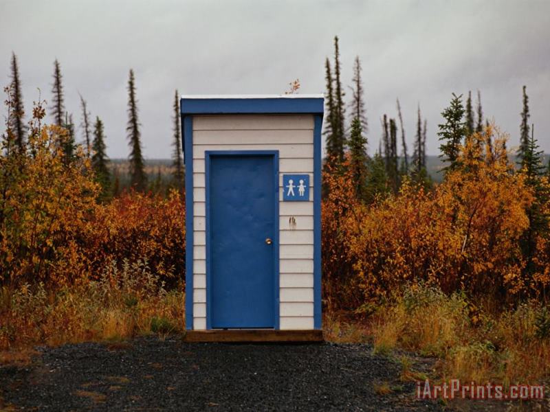 Outhouse in The Bush painting - Raymond Gehman Outhouse in The Bush Art Print