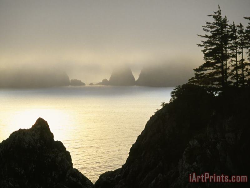 Pacific Fog Cloaks Rocky Outcroppings at Puffin Cove painting - Raymond Gehman Pacific Fog Cloaks Rocky Outcroppings at Puffin Cove Art Print