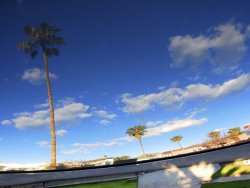 Raymond Gehman Palm Trees And Clear Blue Sky Refelcted in a Car's Shiny Finish painting