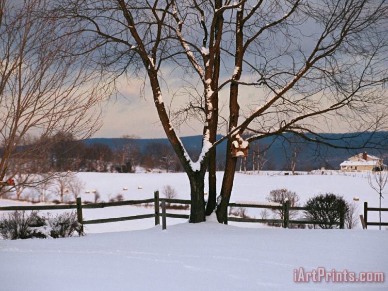 Pastoral View of a Farm Covered in Snow painting - Raymond Gehman Pastoral View of a Farm Covered in Snow Art Print