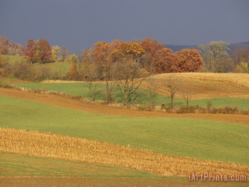 Raymond Gehman Pastoral View of Rolling Fields And Autumn Foliage Art Print