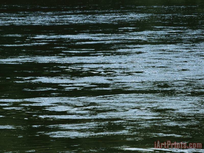 Raymond Gehman Play of Light And Shadow in The Water of The James River Art Print