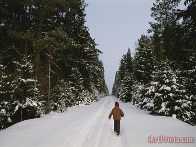 Polish Child Walking on a Snowy Road in Bialowieza Forest painting - Raymond Gehman Polish Child Walking on a Snowy Road in Bialowieza Forest Art Print