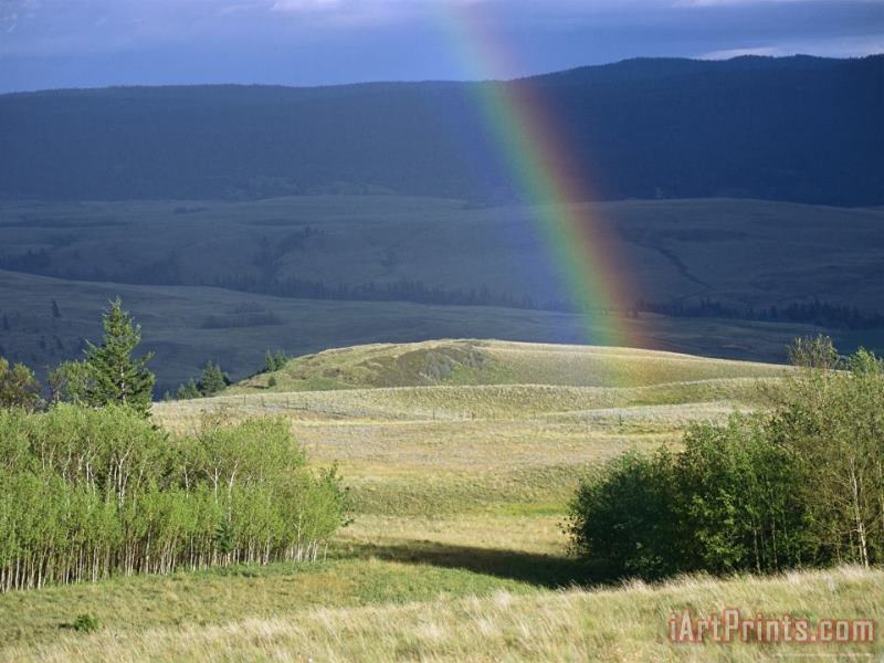 Rainbow Touches Down on a Plain After an Evening Rainstorm painting - Raymond Gehman Rainbow Touches Down on a Plain After an Evening Rainstorm Art Print