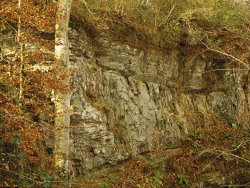 Raymond Gehman Raven Rock And Autumn Colored Beech Trees Along The Cape Fear River