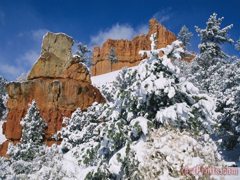 Red Rock Formations Poke Through a Late Winter Snow painting - Raymond Gehman Red Rock Formations Poke Through a Late Winter Snow Art Print