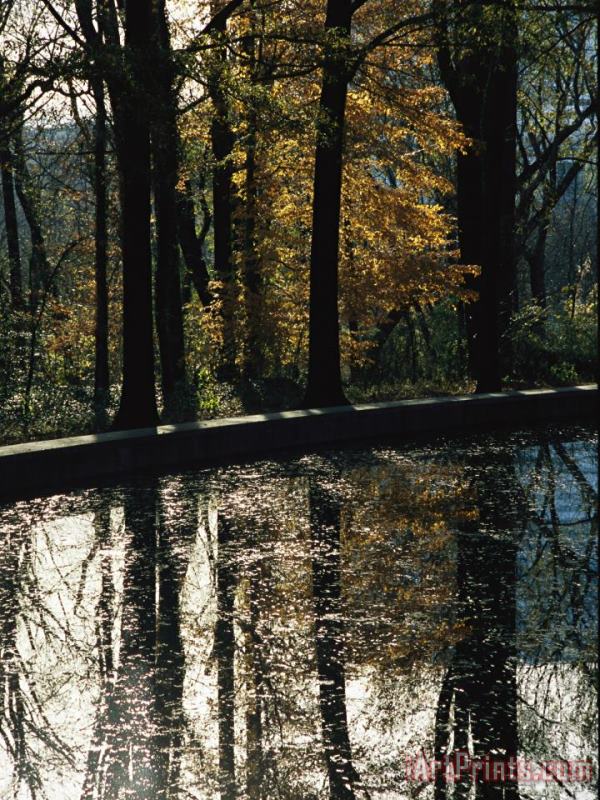 Raymond Gehman Reflecting Pool And Oaks at Theodore Roosevelts Memorial Art Print